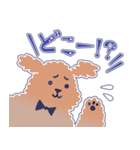 困り顔のトイプーwithアルパカ（個別スタンプ：13）