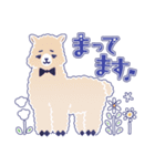 困り顔のトイプーwithアルパカ（個別スタンプ：15）