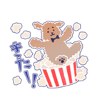 困り顔のトイプーwithアルパカ（個別スタンプ：16）