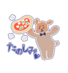 困り顔のトイプーwithアルパカ（個別スタンプ：19）