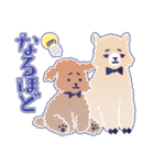 困り顔のトイプーwithアルパカ（個別スタンプ：22）