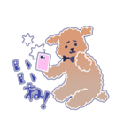 困り顔のトイプーwithアルパカ（個別スタンプ：23）
