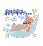 困り顔のトイプーwithアルパカ（個別スタンプ：36）