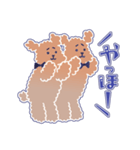 困り顔のトイプーwithアルパカ（個別スタンプ：37）