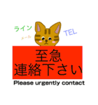 ちゃちゃまる(茶々丸)（個別スタンプ：34）