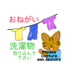 ちゃちゃまる(茶々丸)（個別スタンプ：40）
