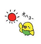 小鳥玉（個別スタンプ：1）