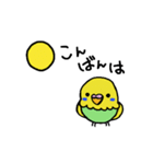 小鳥玉（個別スタンプ：3）