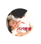 かなとスタンプ③（個別スタンプ：16）