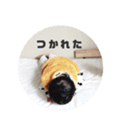 かなとスタンプ③（個別スタンプ：23）