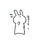 うさぎの"まろ"（個別スタンプ：36）