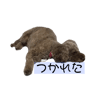 ちょこちゃんぱーとわん（個別スタンプ：6）