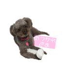 ちょこちゃんぱーとわん（個別スタンプ：7）