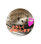 ハリネズミのこりき（個別スタンプ：7）