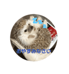 ハリネズミのこりき（個別スタンプ：12）
