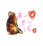秋田犬与作の日常（個別スタンプ：5）