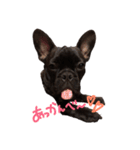ビンスくん。（個別スタンプ：4）