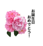 yasuおばさんの薔薇のささやき3（個別スタンプ：4）