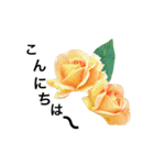 yasuおばさんの薔薇のささやき3（個別スタンプ：6）