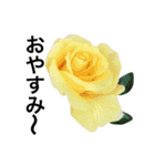 yasuおばさんの薔薇のささやき3（個別スタンプ：7）