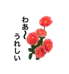 yasuおばさんの薔薇のささやき3（個別スタンプ：14）