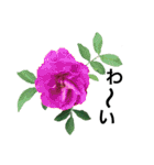 yasuおばさんの薔薇のささやき3（個別スタンプ：15）