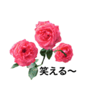 yasuおばさんの薔薇のささやき3（個別スタンプ：24）