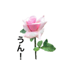yasuおばさんの薔薇のささやき3（個別スタンプ：28）