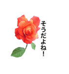 yasuおばさんの薔薇のささやき3（個別スタンプ：32）