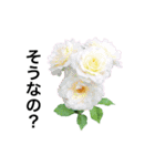 yasuおばさんの薔薇のささやき3（個別スタンプ：35）