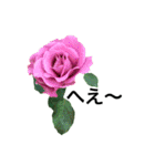 yasuおばさんの薔薇のささやき3（個別スタンプ：36）