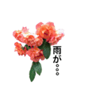 yasuおばさんの薔薇のささやき3（個別スタンプ：38）
