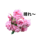 yasuおばさんの薔薇のささやき3（個別スタンプ：39）