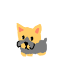 さりわん（個別スタンプ：1）