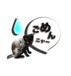 黒猫のクロダさん（個別スタンプ：3）