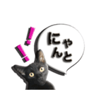 黒猫のクロダさん（個別スタンプ：4）