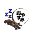 黒猫のクロダさん（個別スタンプ：5）
