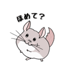 チンチラのむいむい2（個別スタンプ：2）
