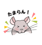 チンチラのむいむい2（個別スタンプ：3）