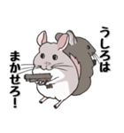 チンチラのむいむい2（個別スタンプ：22）