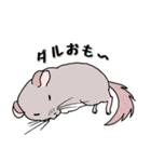 チンチラのむいむい2（個別スタンプ：29）