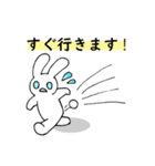 うさぎ、時々ねこ（個別スタンプ：14）