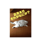 おちびーズ猫の年末年始（個別スタンプ：7）