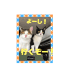 おちびーズ猫の年末年始（個別スタンプ：14）