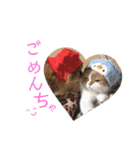 ドンノブボム（個別スタンプ：9）