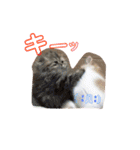 ドンノブボム（個別スタンプ：15）
