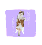 いえねこ m's 1（個別スタンプ：25）