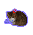 いえねこ m's 1（個別スタンプ：38）