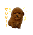 むーむーのほにゃほにゃスタンプ2（個別スタンプ：18）