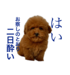 むーむーのほにゃほにゃスタンプ2（個別スタンプ：20）